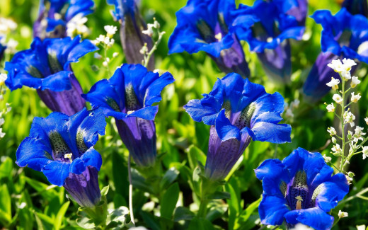 1568059 (a): :2560x1600
